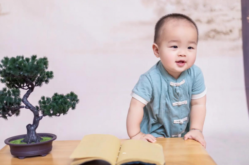灌云可爱的企鹅宝宝